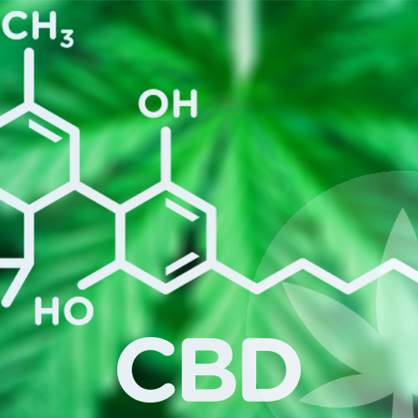 Acheter de l'Huile de CBD : Tout Ce Qu'il Faut Savoir