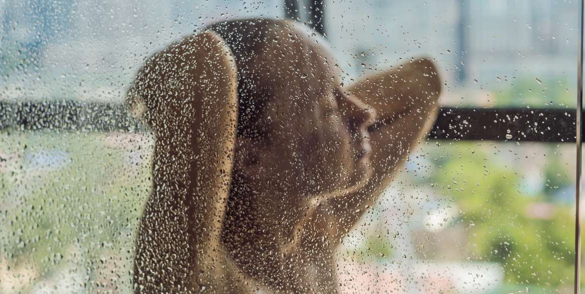 Prenons-nous la douche de la bonne façon pour mieux dormir ?